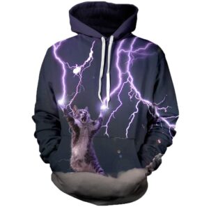 Caster cat 3D 3D Hoodie For Men Women All Over 3D Printed Hoodies - 05b0eb658a17