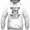 Cat Smelly Cat 3D Hoodie For Men Women All Over 3D Printed Hoodie - 61479a6093c4