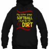 My Sister Plays Softball 3D Hoodie For Men Women All Over 3D Printed Hoodie - d2f090256c85