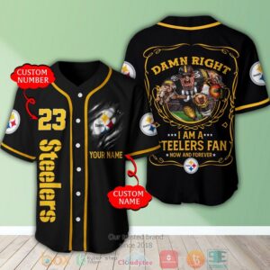 Personalized Pittsburgh Steelers Nfl I Am A Steelers Fan Baseball Jersey Shirt