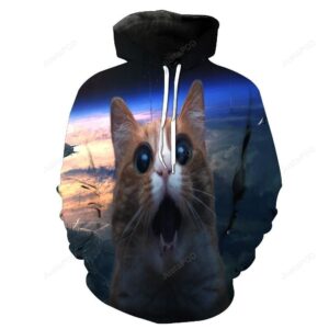 Surprised Cat 3D Hoodie For Men Women All Over 3D Printed Hoodie - 5e4859ab708e