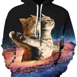 Titanic star cat 3D 3D Hoodie For Men Women All Over 3D Printed Hoodies - a6bcce3358c6